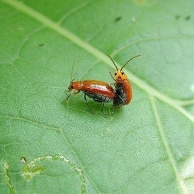 he02B_60's profile picture. 見てくれる人がいなくてもつぶやく #相互 #MGWV