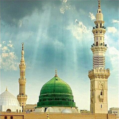 adndni's profile picture. تشرين النقية الصافية تمثلني وكل ثائر حر ضد الظلم في العالم لا سيما ابي الاحرار وسيدهم سيدنا الامام الحسين بن علي عليهما السلام..وامقت الذيول والمنافقين والعوران