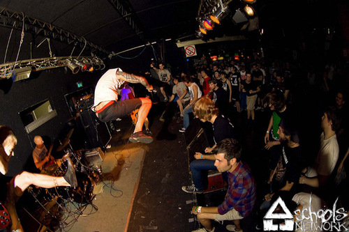 anchorofficial's profile picture. Who will be their voice? Go vegan!