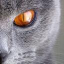 David Faller - @Ultradork - Twitter