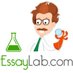 Twitter Profile image of @essay_lab