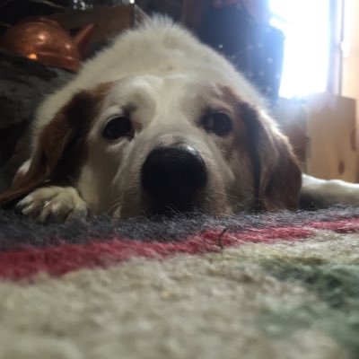 jeanniema65's profile picture. 