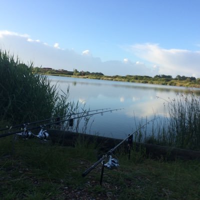 ScottTully2's profile picture. fx