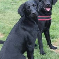 Angela Cassells (@cassellsangela) 's Twitter Profile Photo Angela Cassells (@cassellsangela) 's Twitter Profile Photo