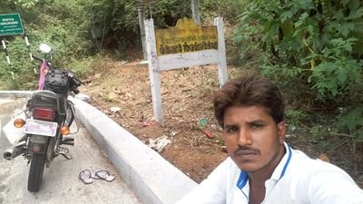 sugurascal's profile picture. 