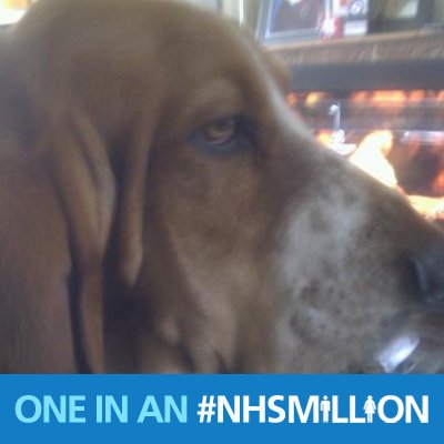 rjmartin_smith's profile picture. You can take the boy out of Essex but you can never take Essex out of the boy