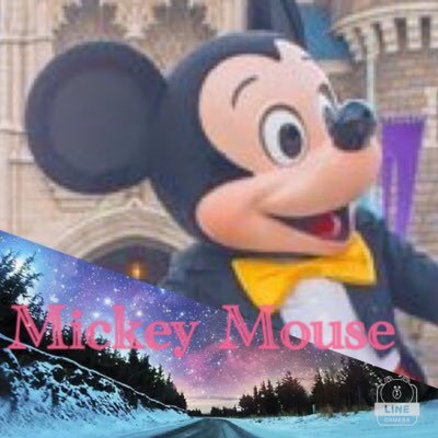 すみっこぐらし/ディズニー/ ディズニー行くために副業始めました 今年中に年パスは取ります(*´艸｀*) フォロバ100% フォローできていないときはリプください！ 出会い厨×  #ディズニー #すみっこぐらし