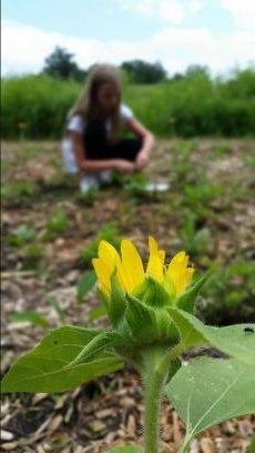 E3science's profile picture. Engineering and Environmental sciences for Everyone.