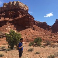 nikolai (@schnittkusound) 's Twitter Profile