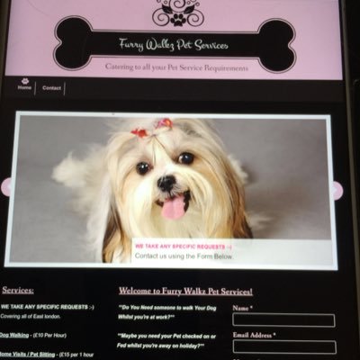 Pet Service based in East London, catering to ANY pet related requests you have including Dog walking, Pet sitting, vet appointments and much more! 20% off.