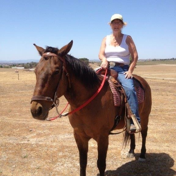 I have over 40 years experience in caring for animals of all sizes. Whether you need a quick one-hour sitter or a month-long sitter, I can do it all.