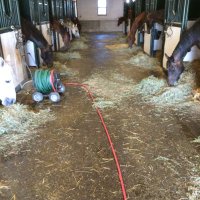 Logan Gorst (@loganchuckwagon) 's Twitter Profile