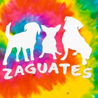 Zaguates Refugio(@ZaguatesRefugio) 's Twitter Profileg