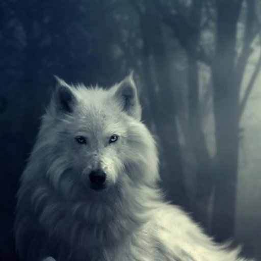 TLestgo's profile picture. Youtuber