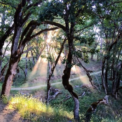 robjohnson_12's profile picture. 