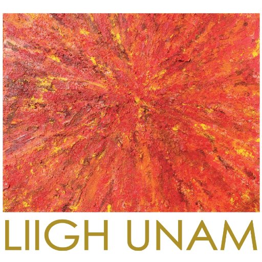 LIIGH_UNAM Profile Picture