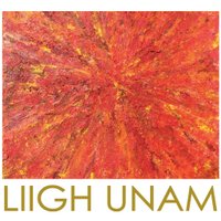 LIIGH (@liigh_unam) 's Twitter Profile