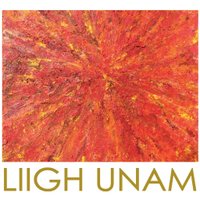 LIIGH(@LIIGH_UNAM) 's Twitter Profile Photo