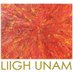 LIIGH (@liigh_unam) Twitter profile photo LIIGH (@liigh_unam) Twitter profile photo