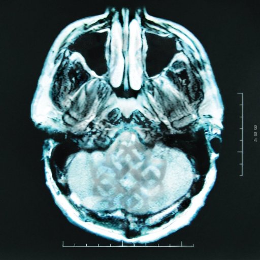 hamidbg95's profile picture. 