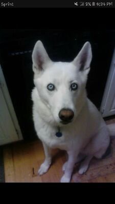 edibble_22's profile picture. Follow my real account @edibble17