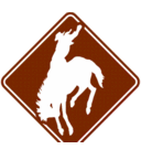 Dave Ratliff - @mustangbuilding - Twitter