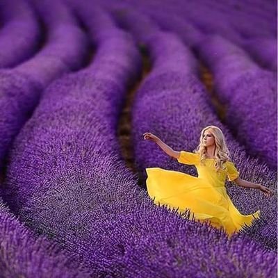 crisscamilozap1's profile picture. 