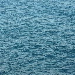 Naqiey's profile picture. A mere custodian