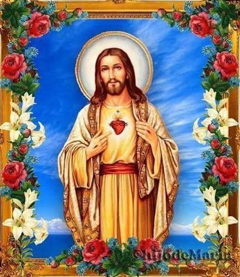 lilinicole312's profile picture. 