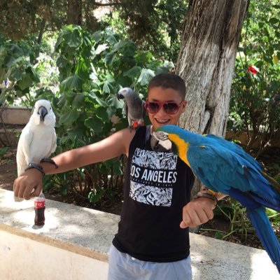 DrissiAmel's profile picture. 