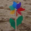 Fiona Beard - @fifibea - Twitter