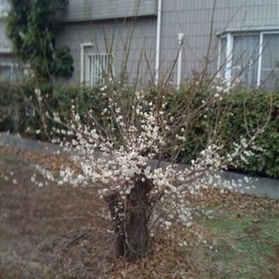 井野のitouch主婦 なんか私 ツイッターの 使い方 間違ってるかなあ 要件だけ打ち込んで返事を待ってるんじゃ メールと変わんないし もっと独り言を無駄と知りつつ呟くのが本来の使い方なのよね 難しいかも 台宿さん早く起きてくんないかな 写真