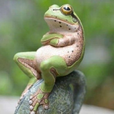 ErnestoAlarco12's profile picture. 