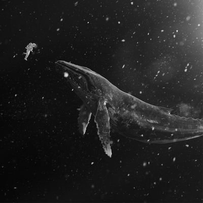 dinara_0511's profile picture. dark
어두운