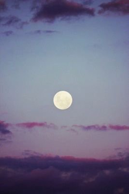 osmtsang_bot's profile picture. 