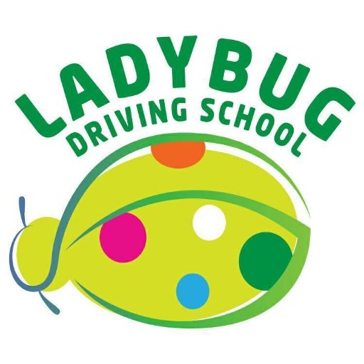 findladybug's profile picture. Lady Drivers, Lady Instructors | findladybug@gmail.com | +254 727 67 88 99