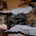 Paul Robison - @paulrobison - Twitter