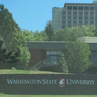 mona Altamimi (@areen2006) 's Twitter Profile Photo