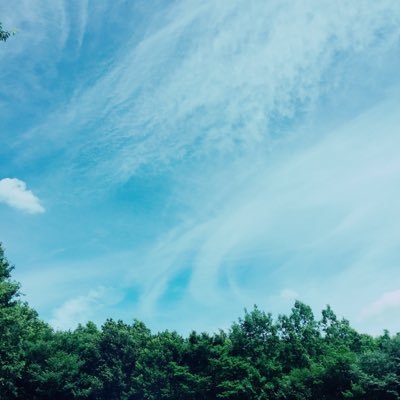 akanechi226's profile picture. 