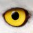 Nihed_B's profile image