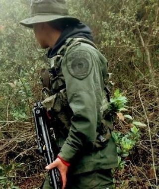 EdgarAya2's profile picture. Pegarlo