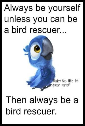 love animals, learning new things and very open minded. i do bird rescue as well as small animal and have been doing it for many years