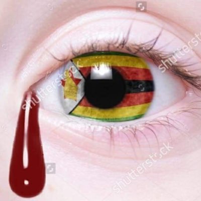 KerryBond2016's profile picture. 