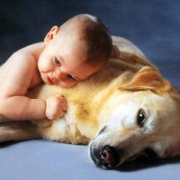 Sokak Sesleri (@turguttopal2) 's Twitter Profile Photo