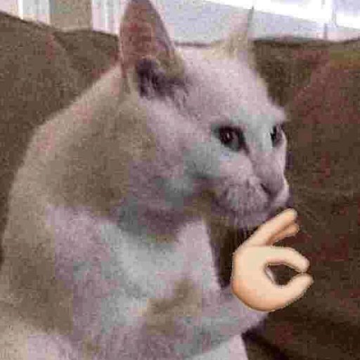 god_of_code's profile picture. Sup