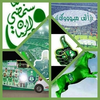 ‏أبوليلى