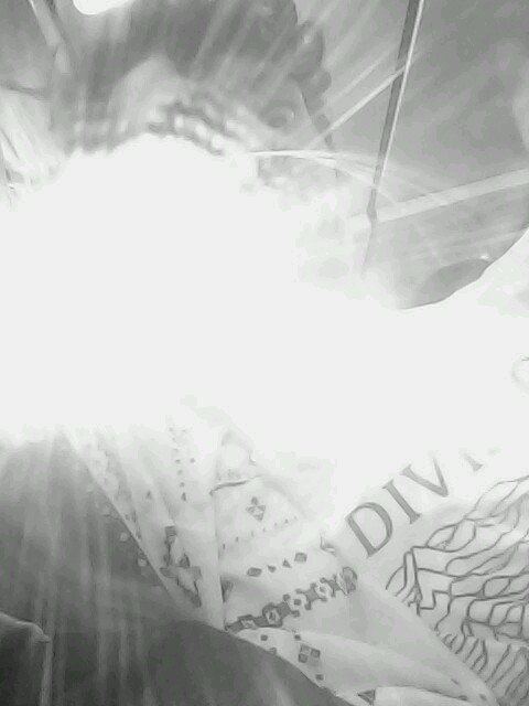 Organiccruiser's profile picture. Deer-Bear-Beer