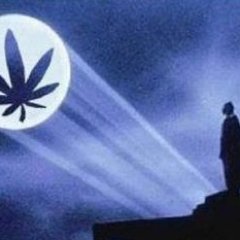 stonedbatman111's profile picture. 