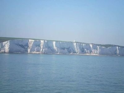 AnnelieseEley's profile picture. 