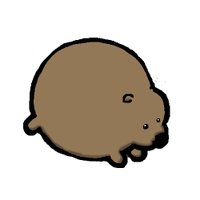 Stuffed Wombat(@wombatstuff) 's Twitter Profileg